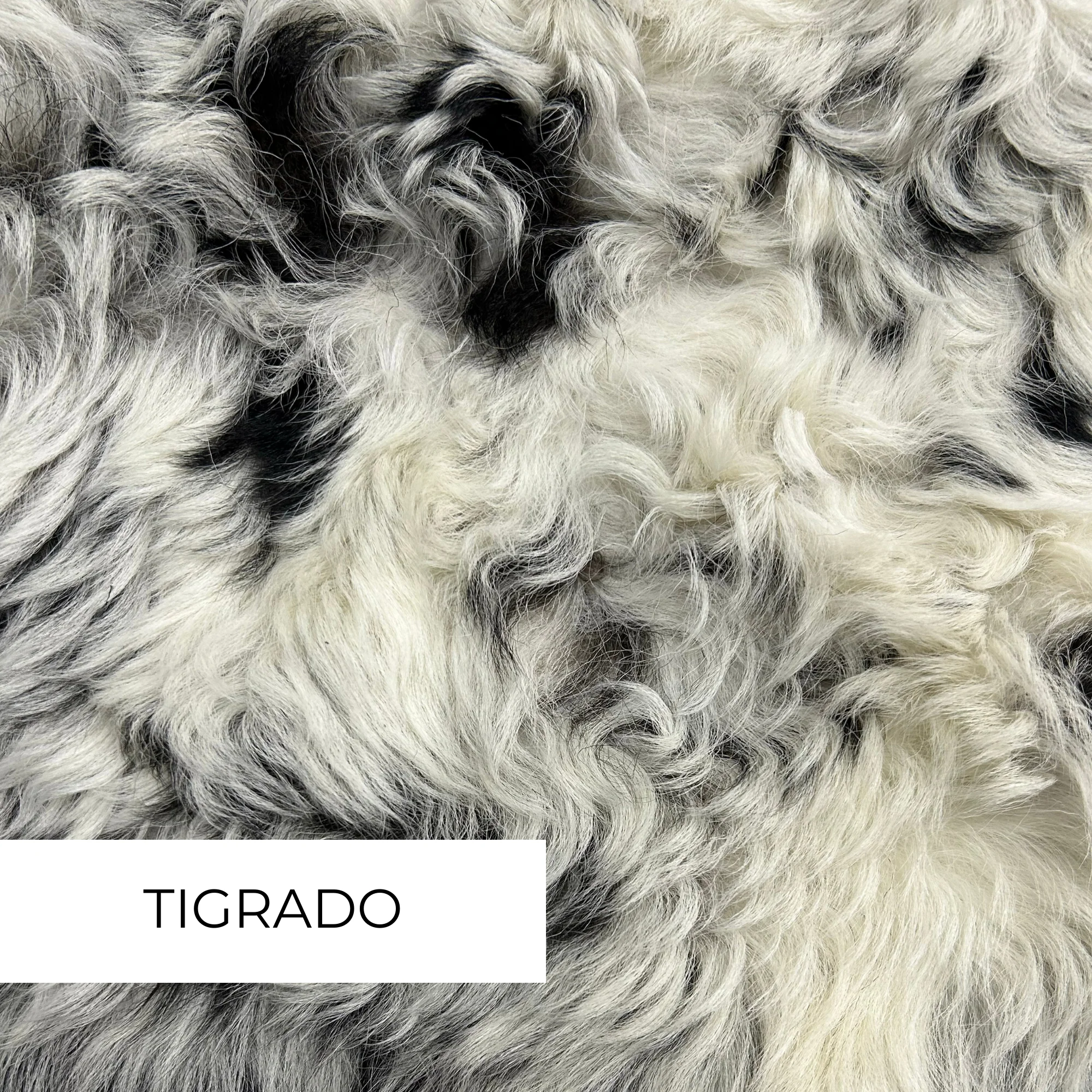 Custom Shaped Fur Collar - Image 3